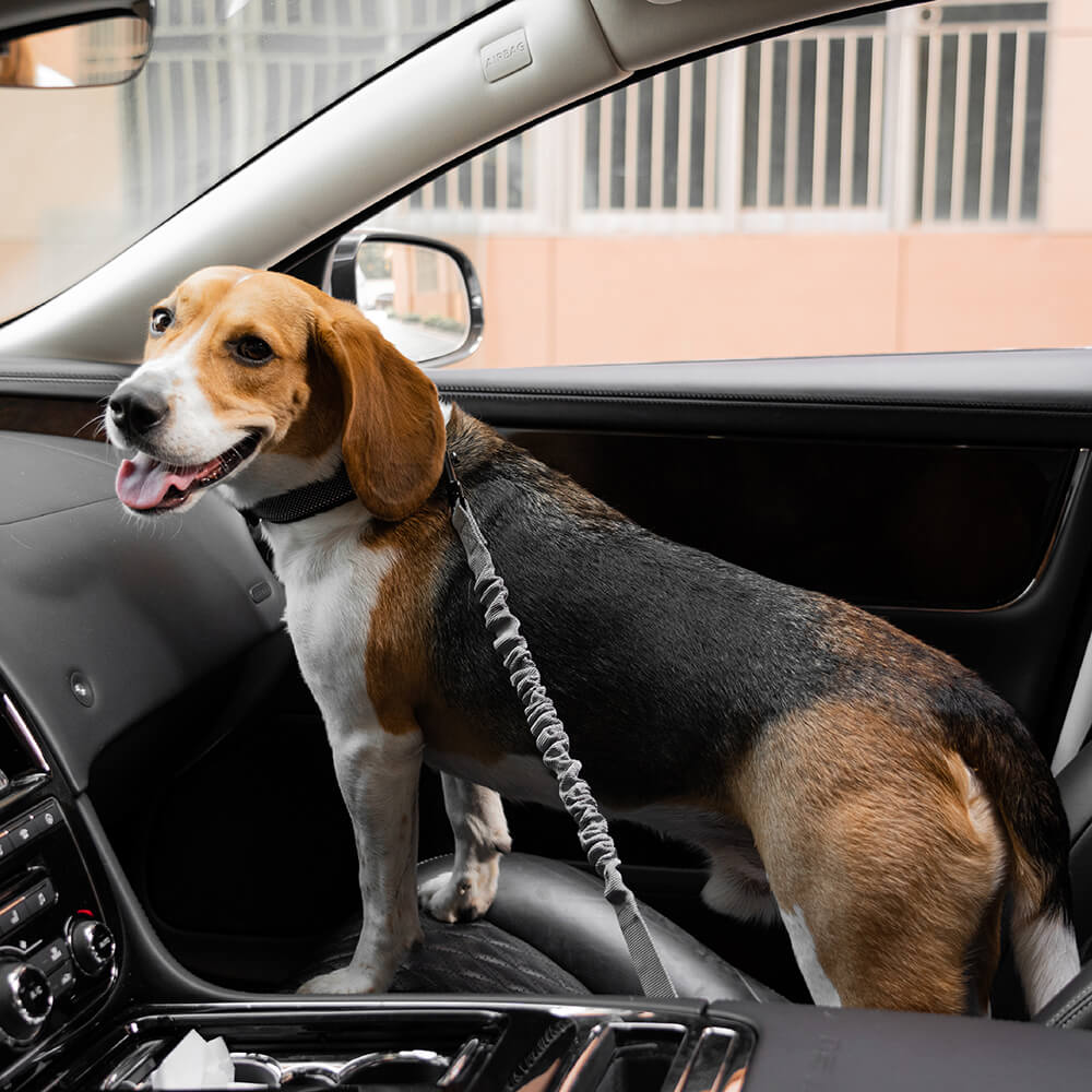 Cinto de segurança de carro com amortecedor ajustável para cães legais