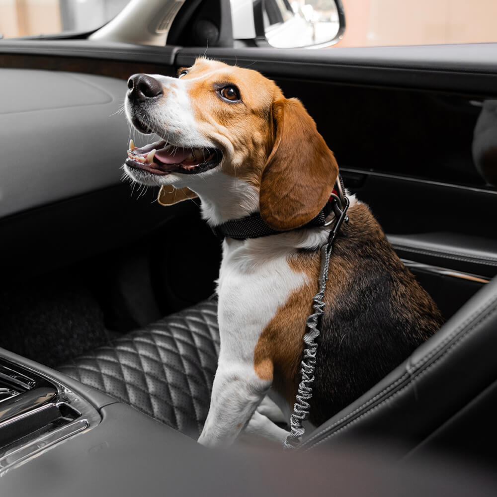Cinto de segurança de carro com amortecedor ajustável para cães legais