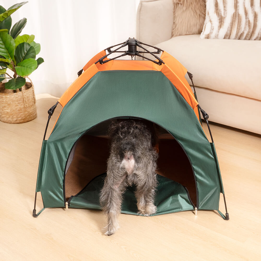 Tenda dobrável para acampamento portátil ao ar livre para cães e gatos