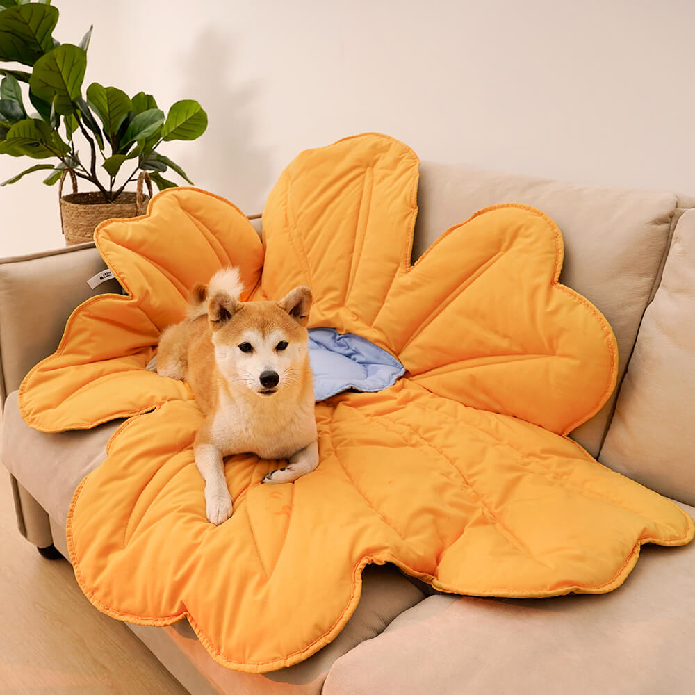 Cobertor para cachorro com tapete humano super grande em forma de flor