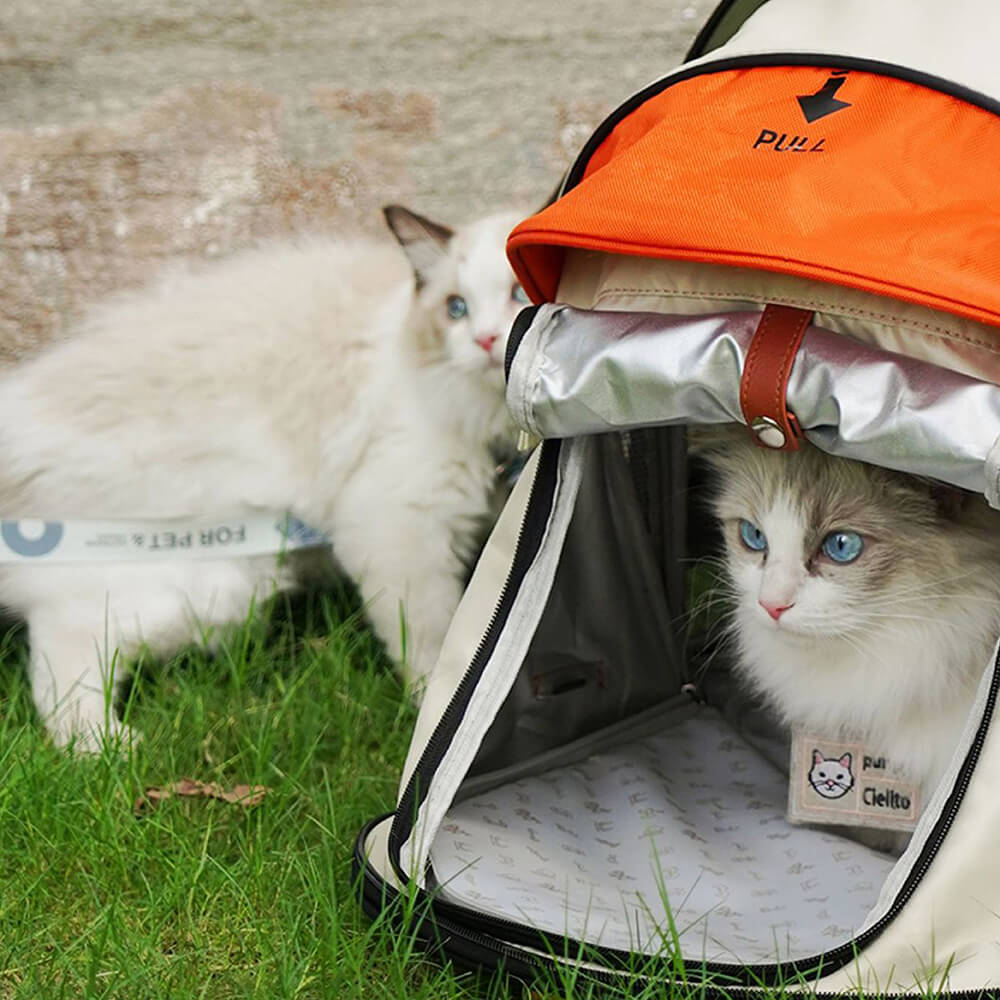 Mochila para gato para barraca de acampamento Transformers Pro Travel