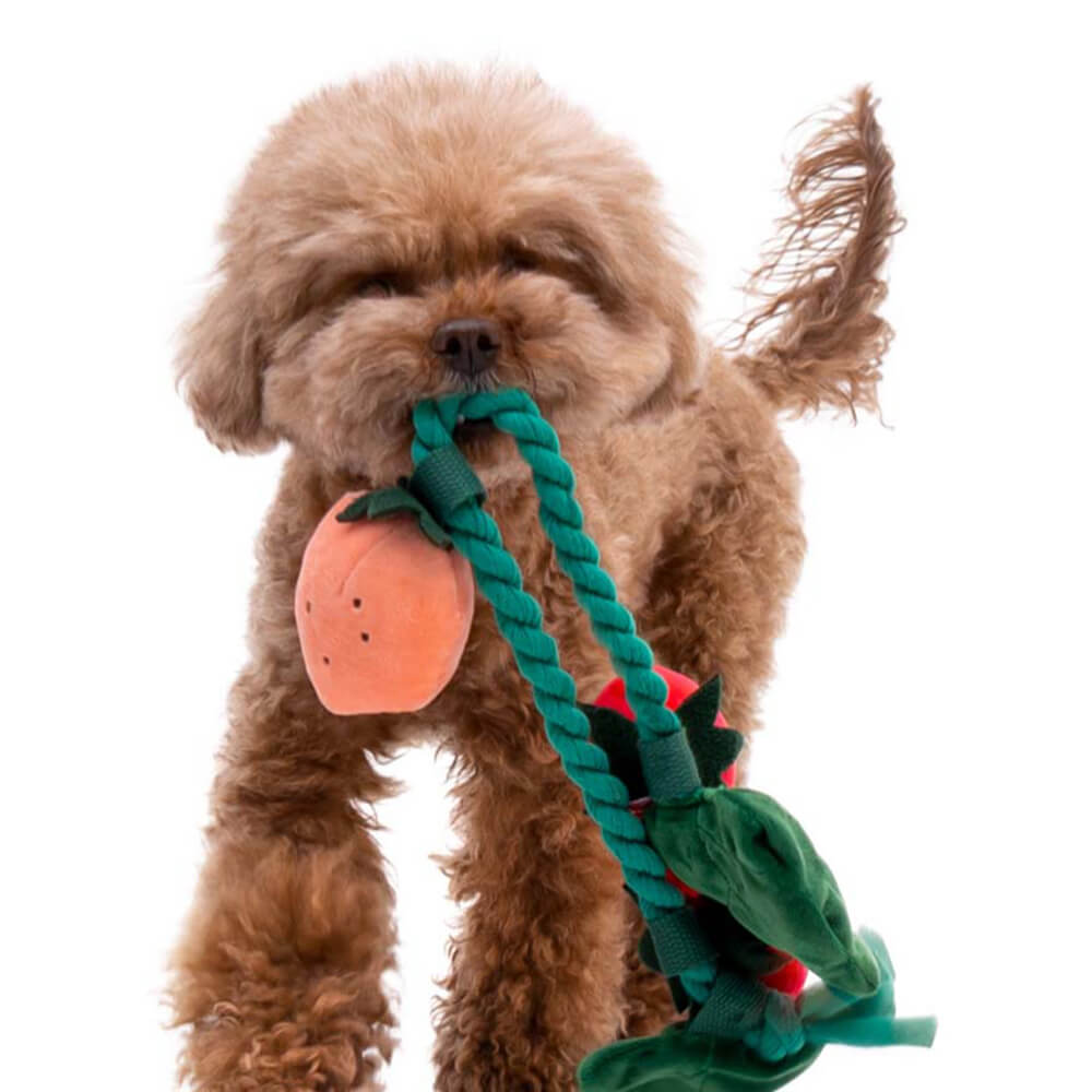 Brinquedo de pelúcia para cachorro que faz barulho - vaso de morango