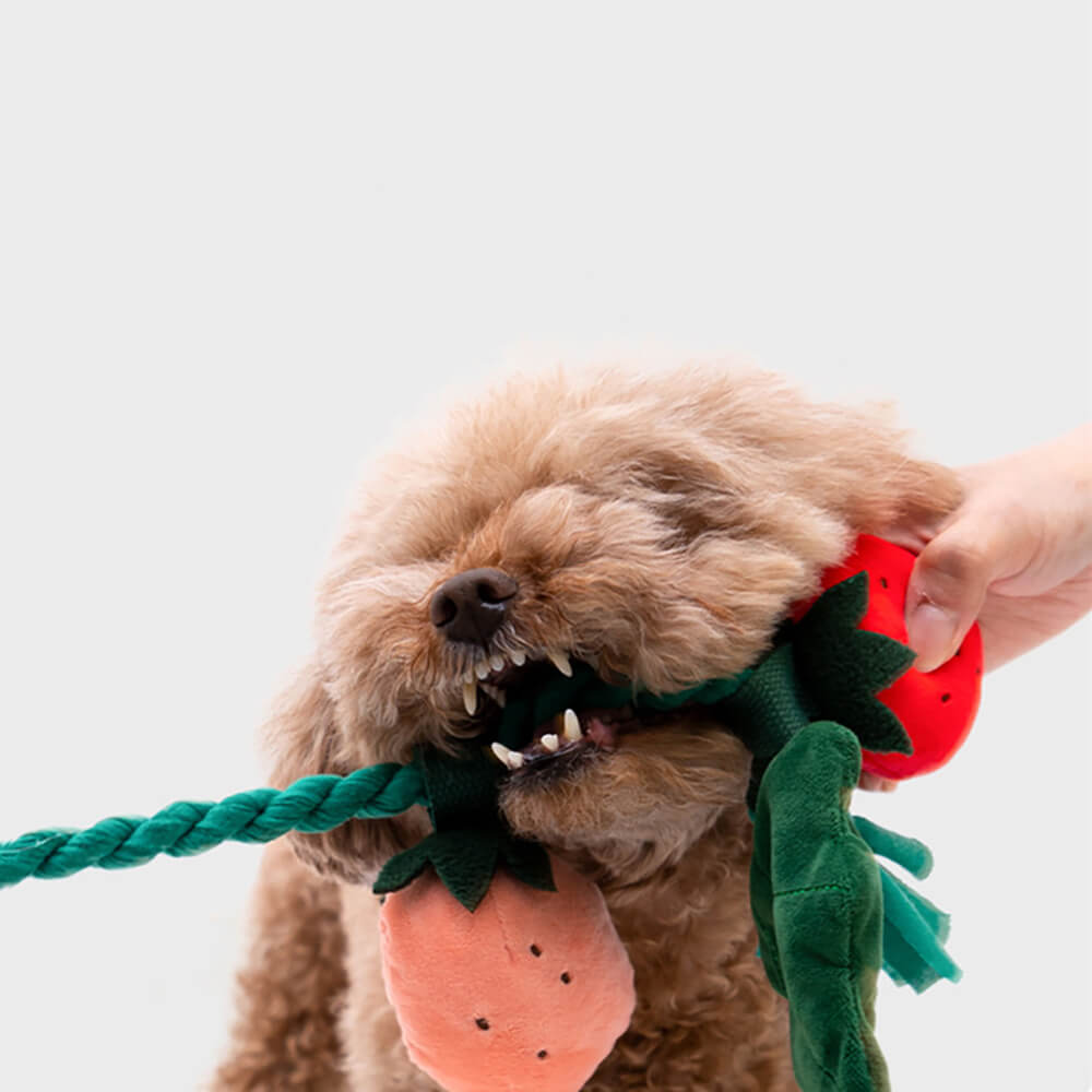 Brinquedo de pelúcia para cachorro que faz barulho - vaso de morango