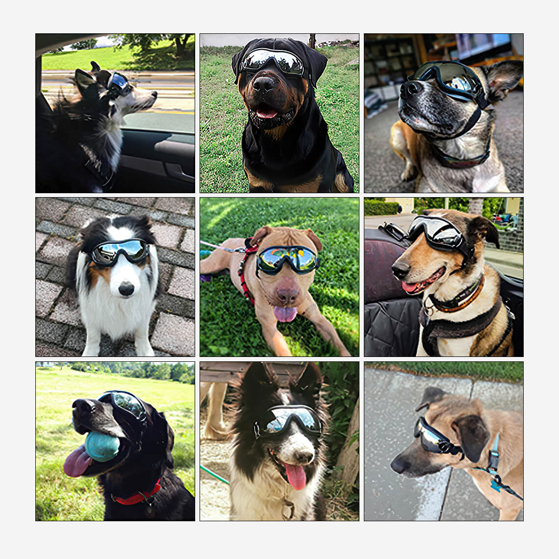 Óculos para acessórios grandes e legais para cães